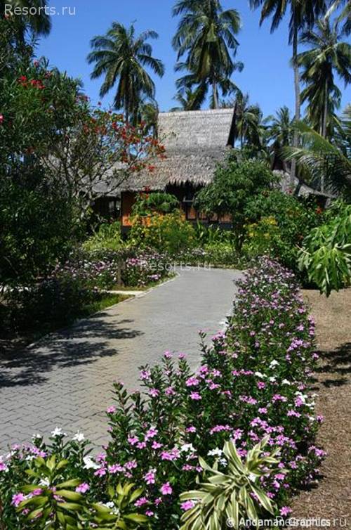 Phi Phi Island Village Beach Resort & Spa 47